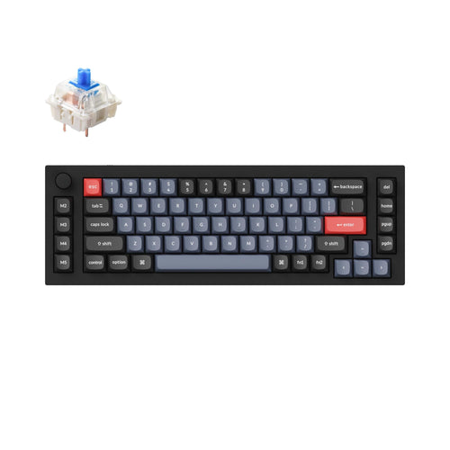 Keychron Q65 Custom Mechanical Keyboard Gateron G Pro Blue Switch